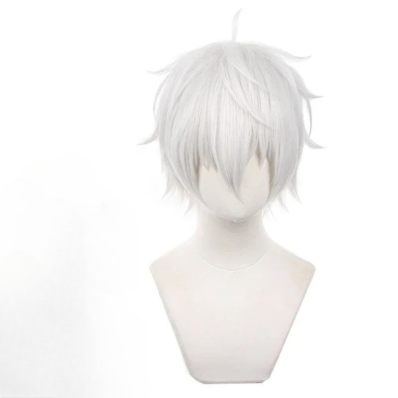 Anime Seishiro Nagi Cosplay Wi - Cosplay Anime White Hair recensione e prezzo