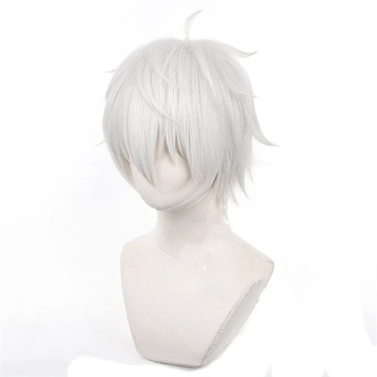 Anime Seishiro Nagi Cosplay Wi - Cosplay Anime White Hair recensione e prezzo