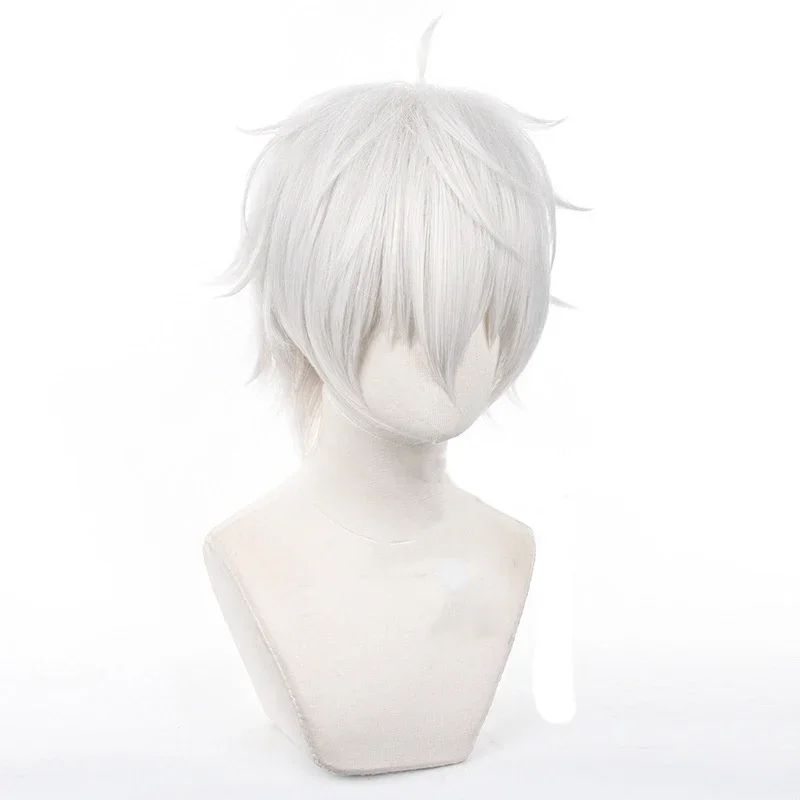 Anime Seishiro Nagi Cosplay Wi - Cosplay Anime White Hair recensione e prezzo