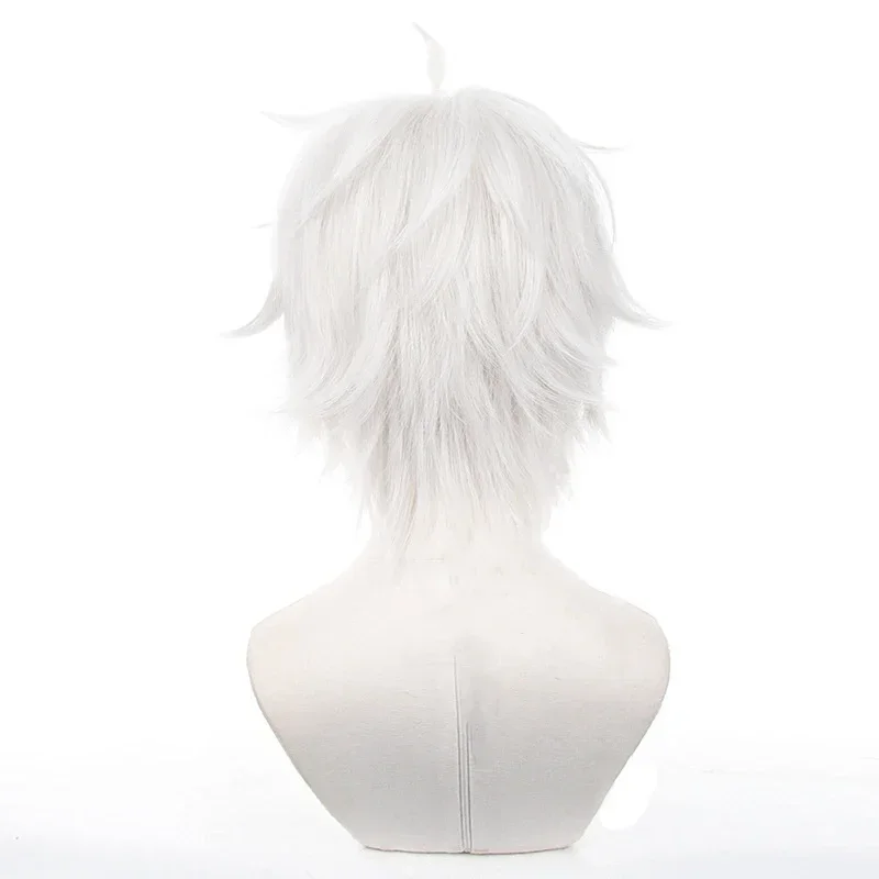 Anime Seishiro Nagi Cosplay Wi - Cosplay Anime White Hair recensione e prezzo